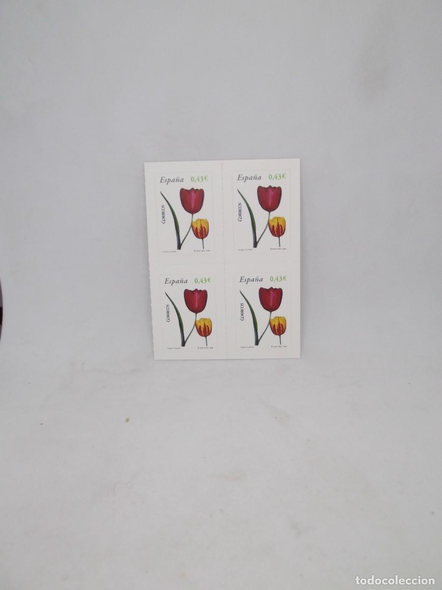 Sellos: Espa&ntilde;a 2008 Flora:Tulip&aacute;n.Bloque de cuatro adhesivos,nuevos