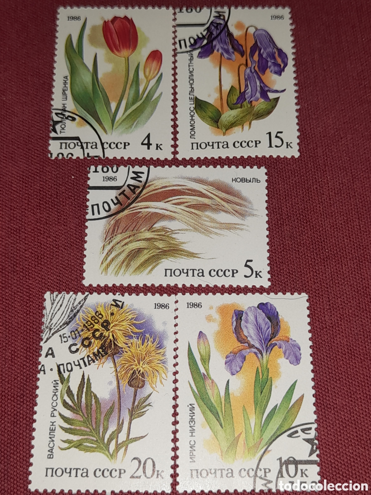 Sellos: Sello Rusia (URSS, CCCP) mtdo 1986. Flores estepa. Flora. Naturaleza. Hierba de plumas. Plantas. Arb