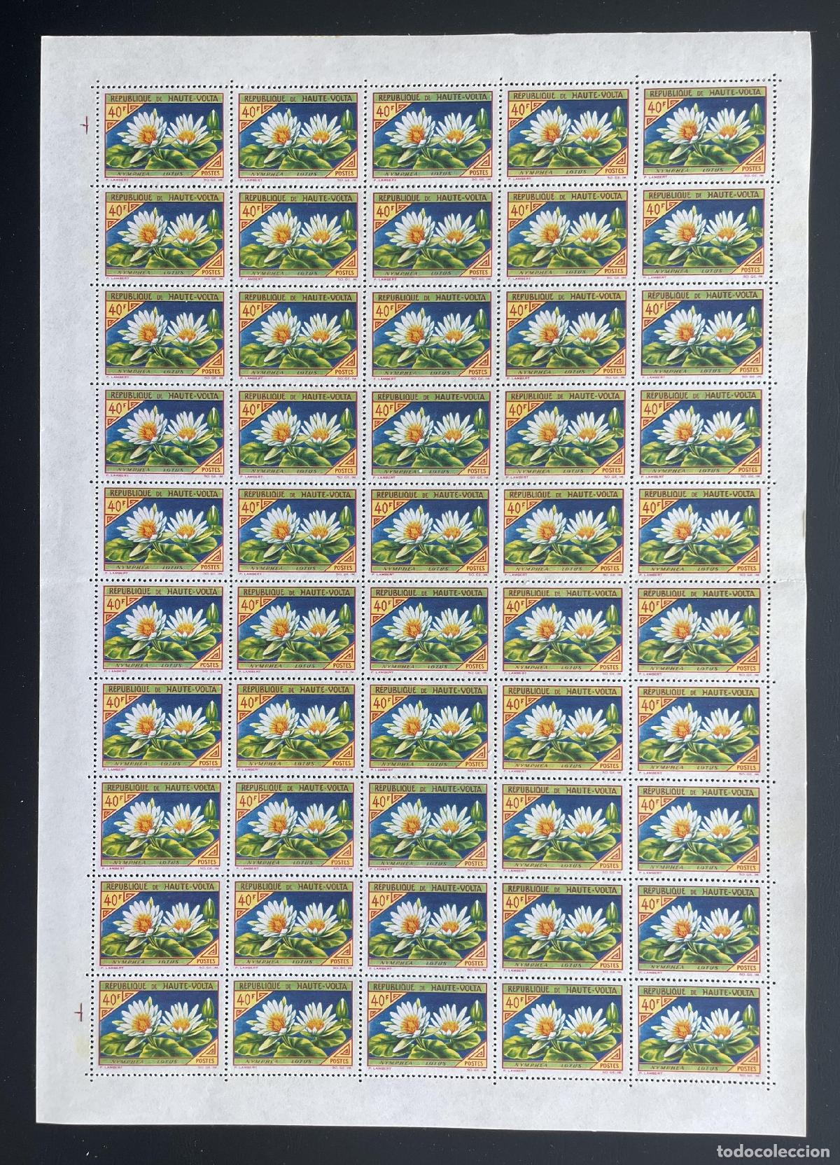 Sellos: Alto Volta 1963 YT 125 tabl&oacute;n flor nymphea loto nen&uacute;far flora hoja