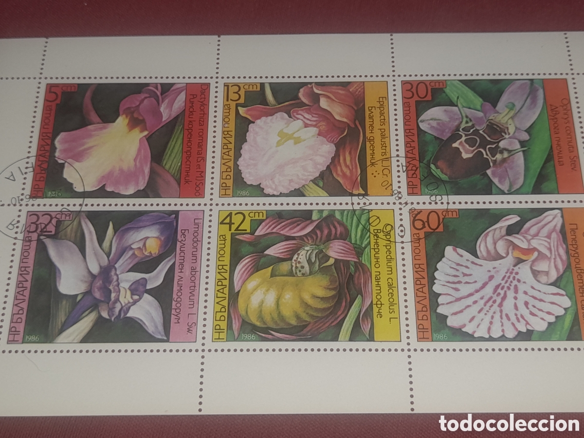 Sellos: HB Bulgaria mtda 1986. Orquideas. Flores. Flora. Naturaleza. Plantas. Naturaleza.