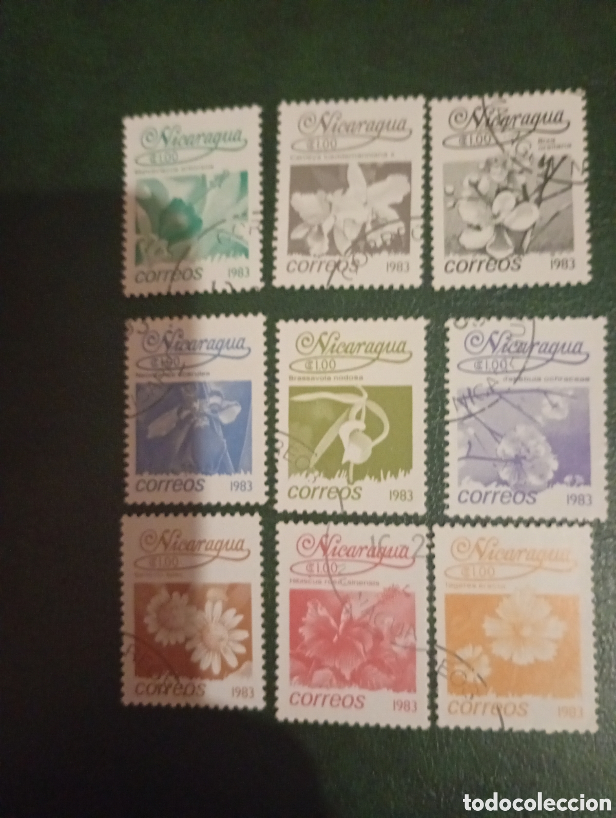 Sellos: Nicaragua 1983 flores