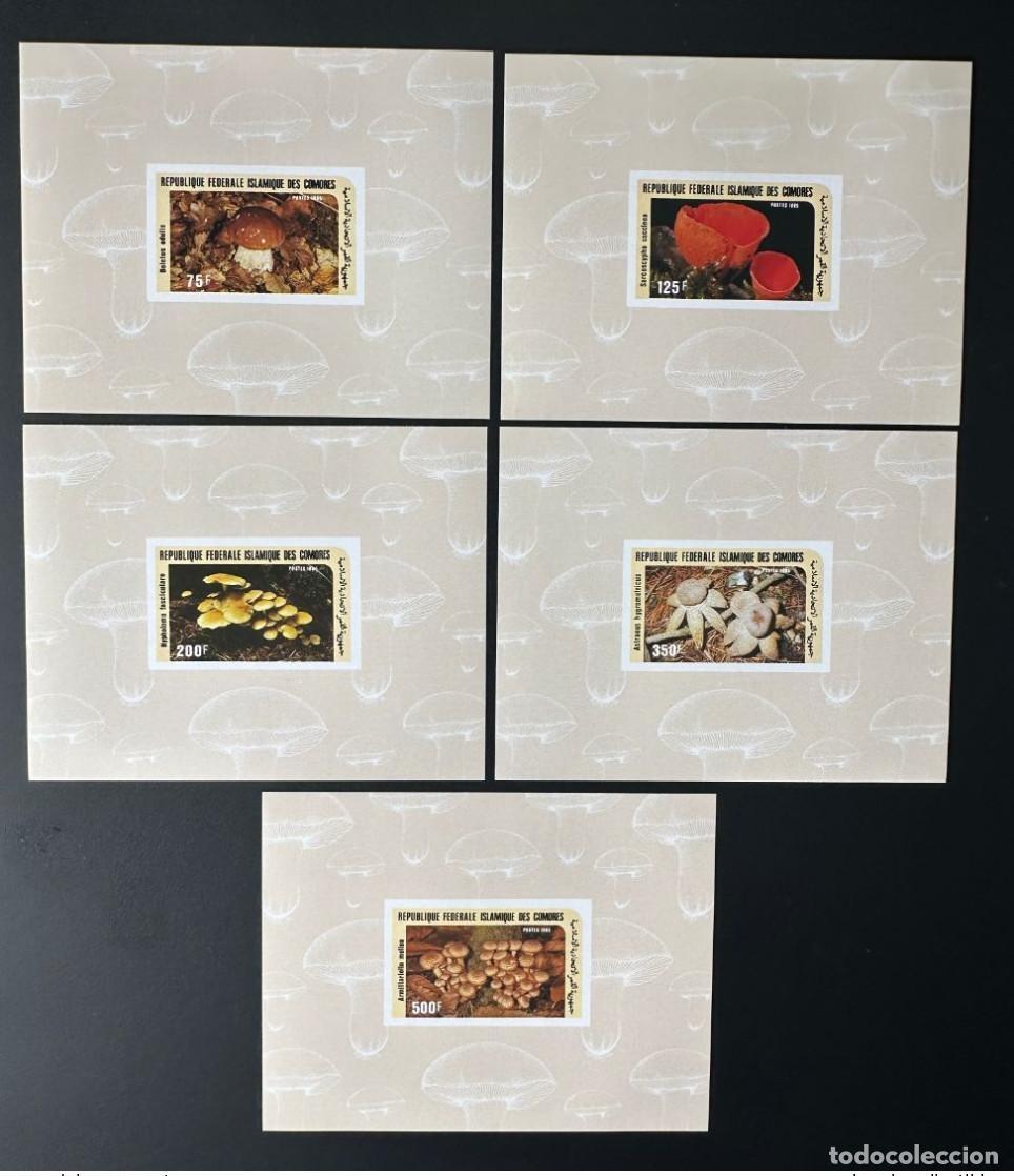 Sellos: Comoras 1985 Mi. 762 - 766 bloques de lujo ND Mushrooms Pilze Funghi