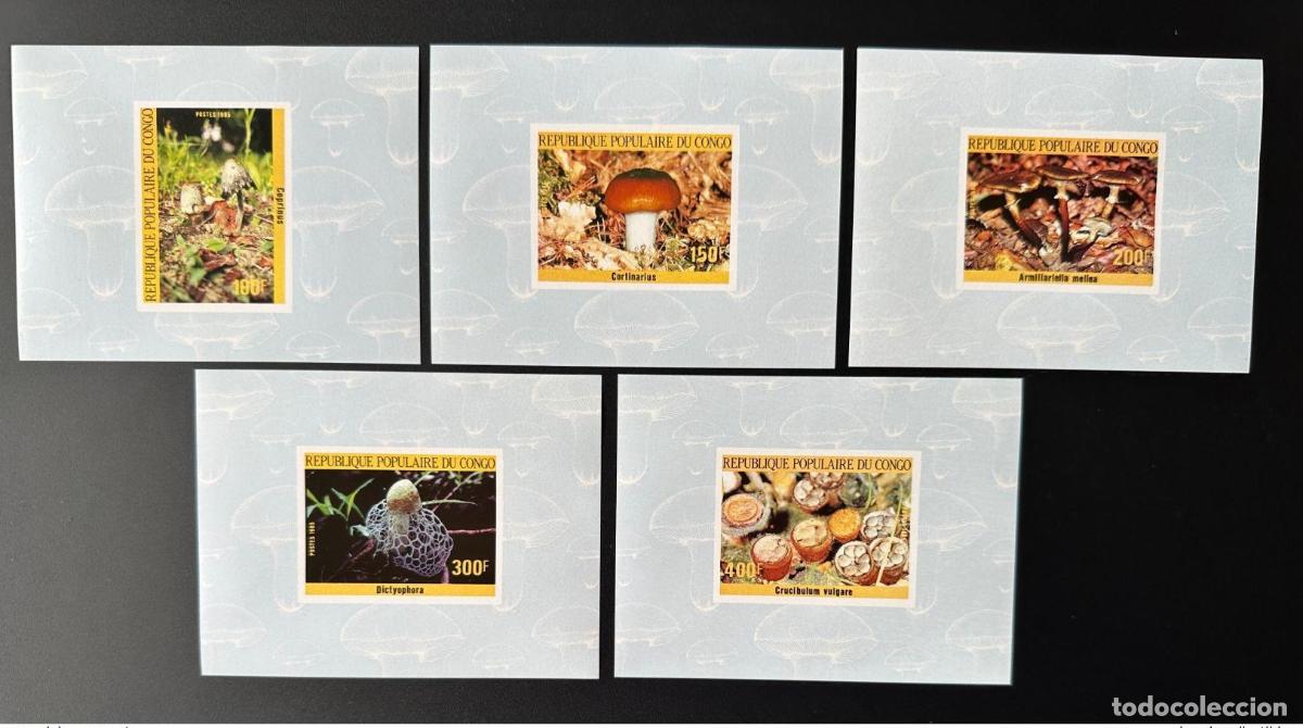 Sellos: Congo 1985 Mi. 1016 - 1020 bloques de lujo ND Mushrooms Pilze Funghi