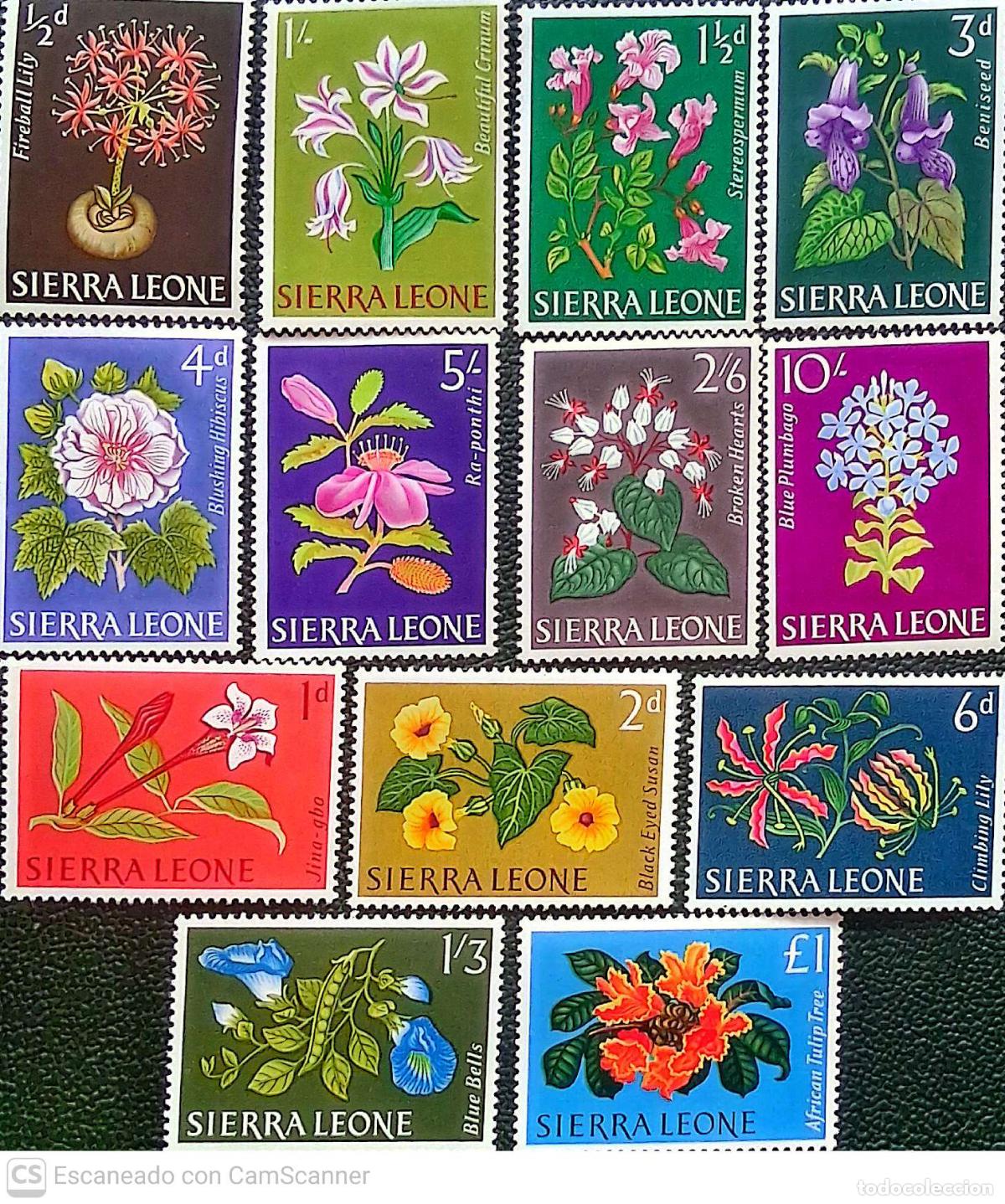 Sellos: Sierra Leona. 213/25 Serie b&aacute;sica: Flores diversas. 1963. Sellos nuevos y numeraci&oacute;n Yvert.