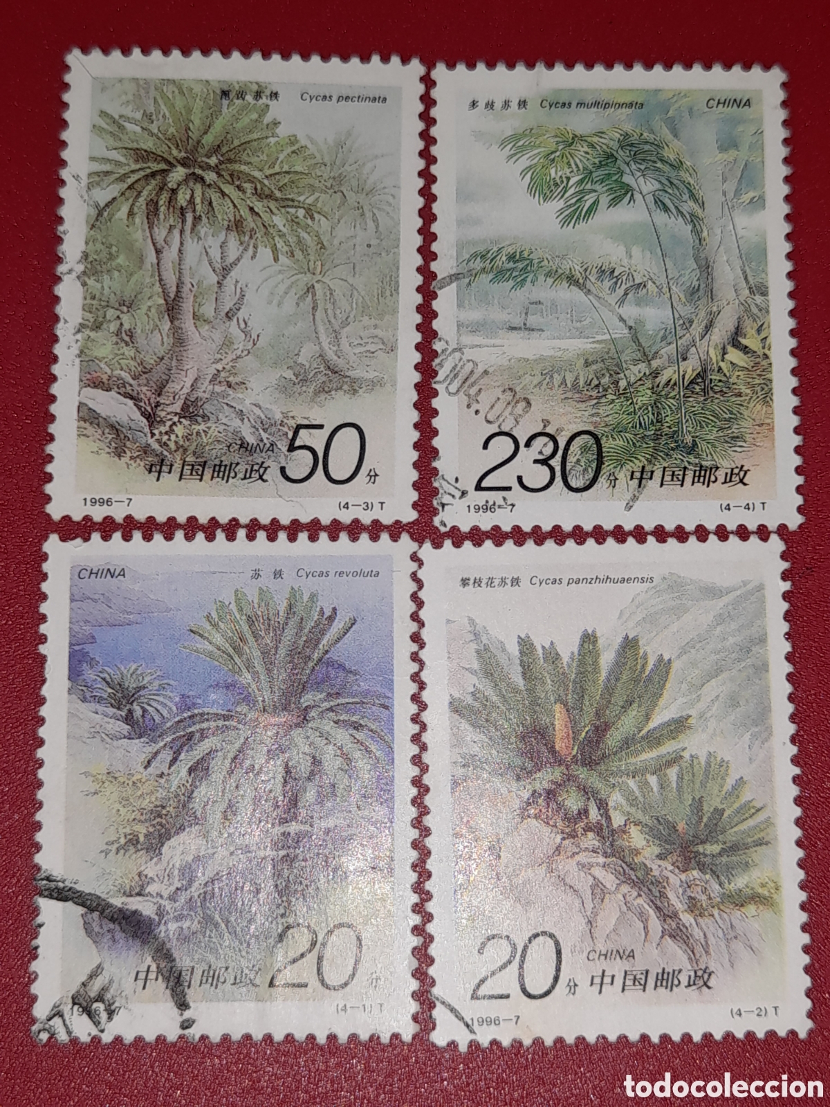 Sellos: Sello China mtdo 1996. Flores. Cacidas.,plantas. Flora. Naturaleza. &Aacute;rboles. Arbustos.
