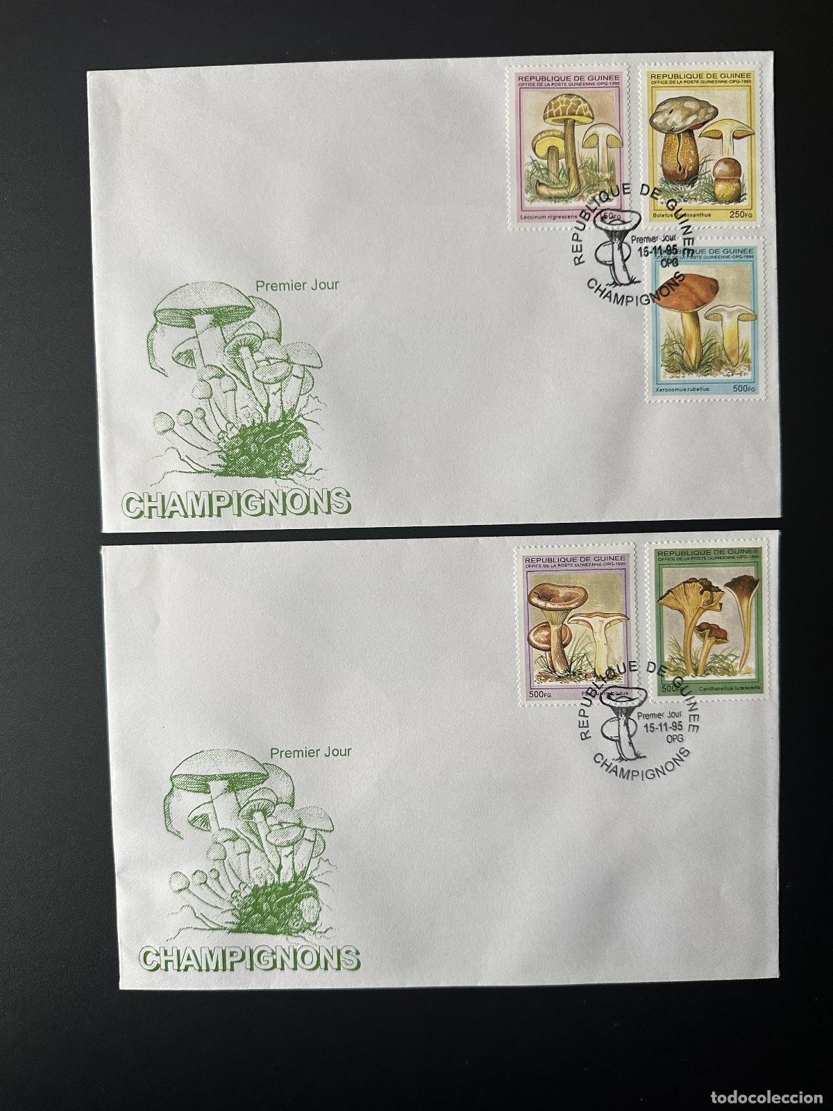 Sellos: Guinea 1995 Mi. 1568 - 1573 FDC Primer d&iacute;a: Champi&ntilde;ones y hongos Pilze Funghi