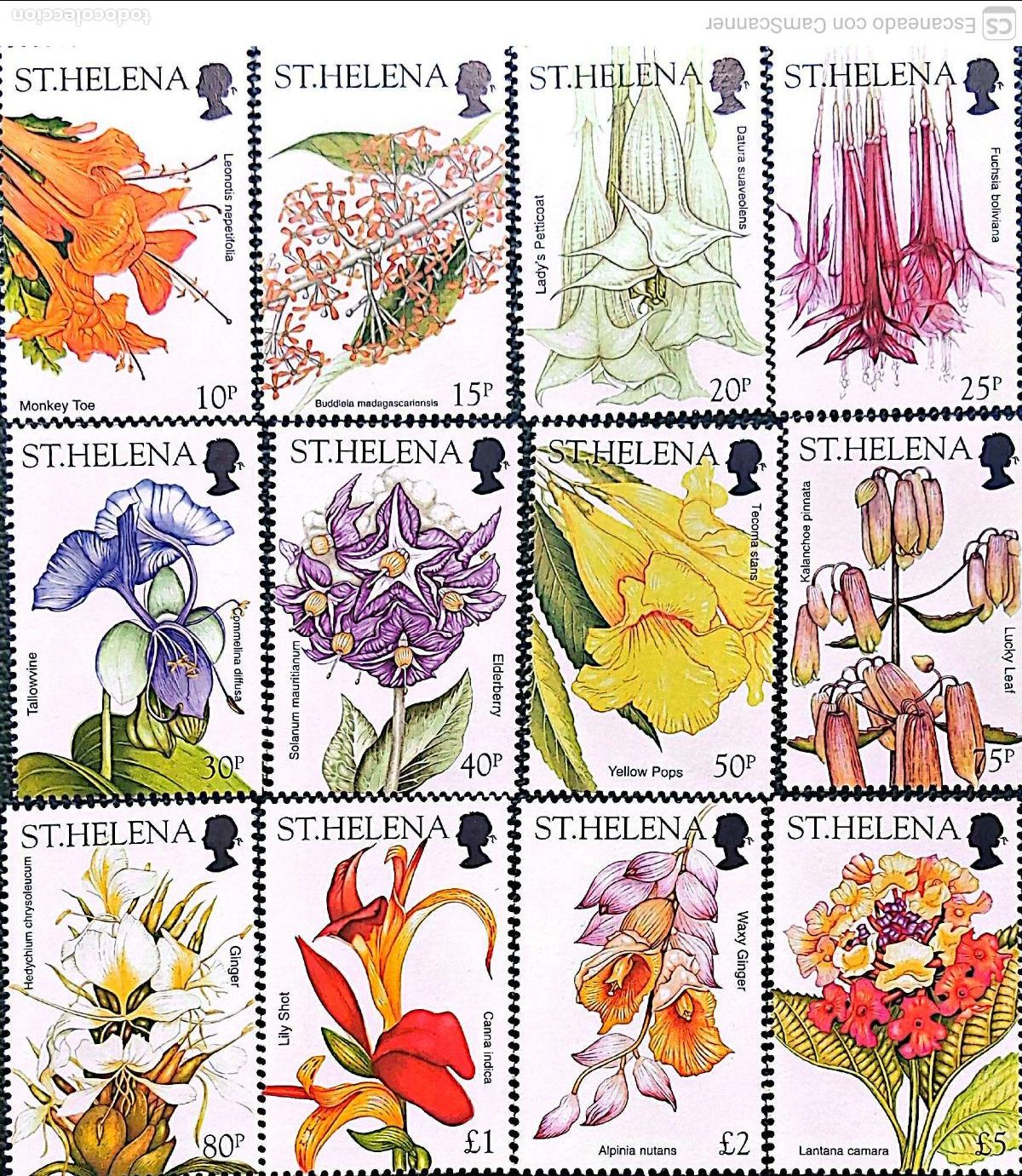 Sellos: Santa Elena.. 823/34 Flora: Flores silvestres. 2003. Sellos nuevos y numeraci&oacute;n Yvert.