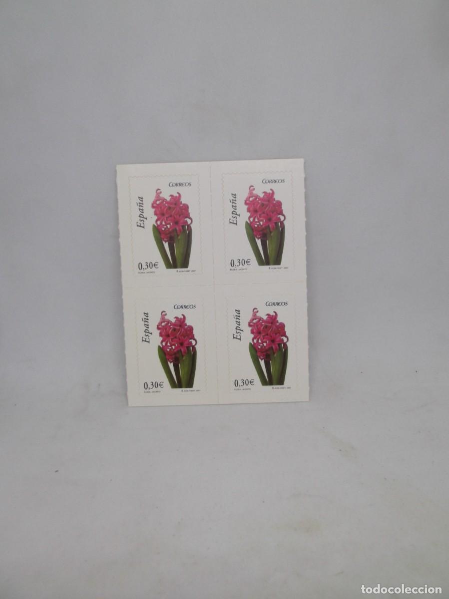 Sellos: Espa&ntilde;a 2007 Flora:Jacinto.Bloque de cuatro sellos adhesivos nuevos