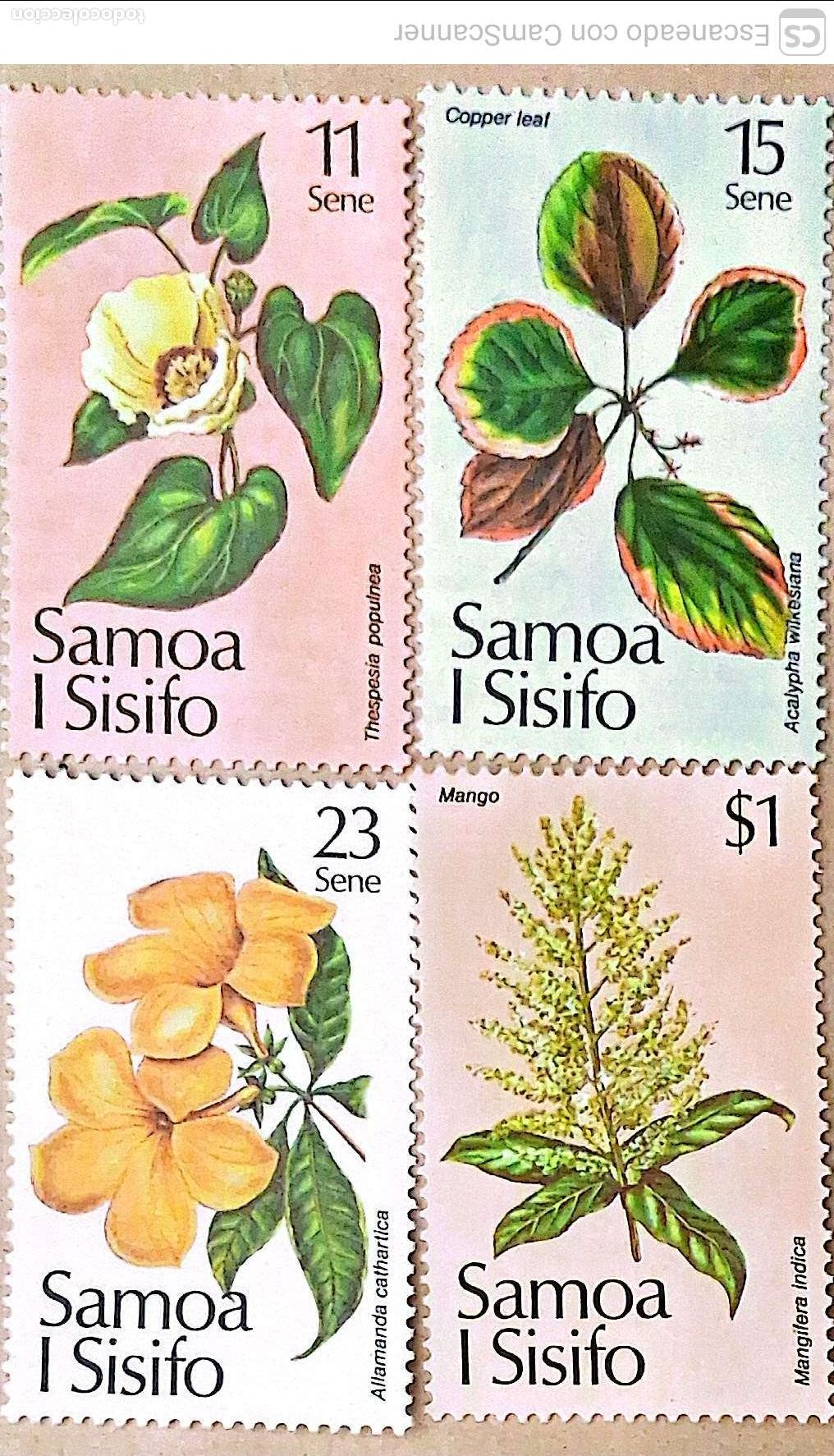 Sellos: Samoa. 502/05 Navidad. Flores. 1981. Sellos nuevos y numeraci&oacute;n Yvert.