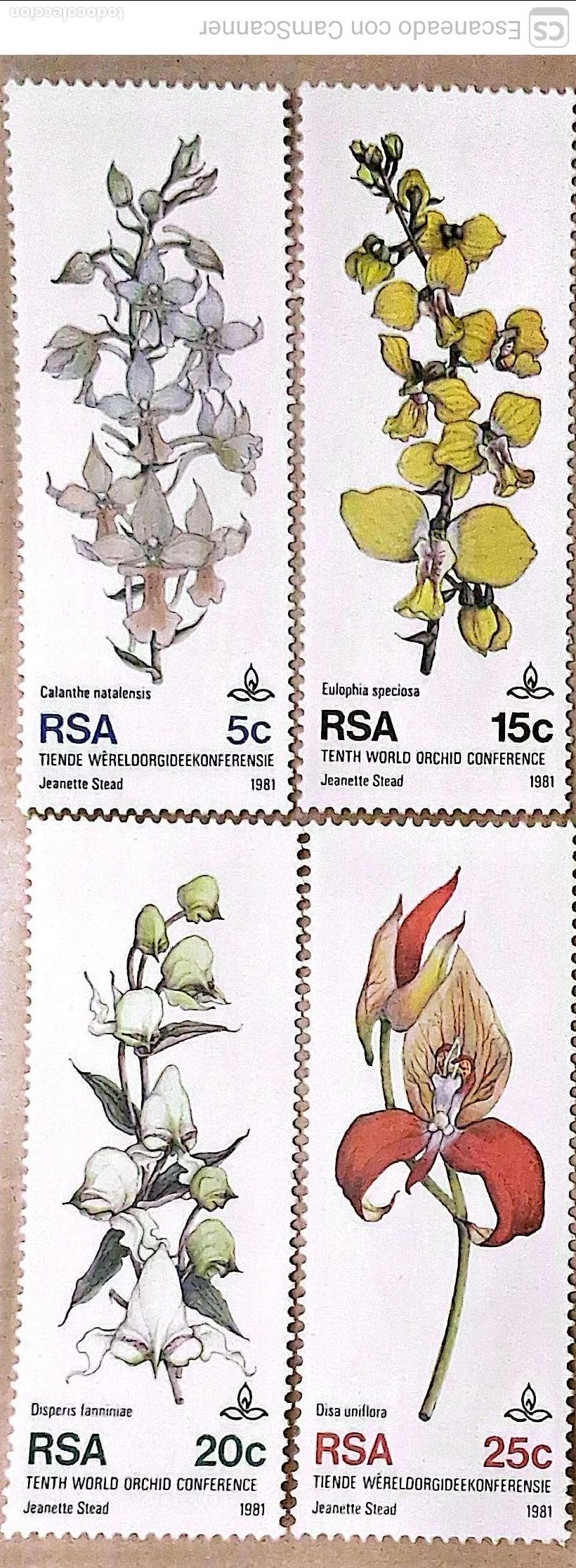 Sellos: Sud&aacute;frica. 495/98 Flores: Orqu&iacute;deas. 1981. Sellos nuevos y numeraci&oacute;n Yvert.
