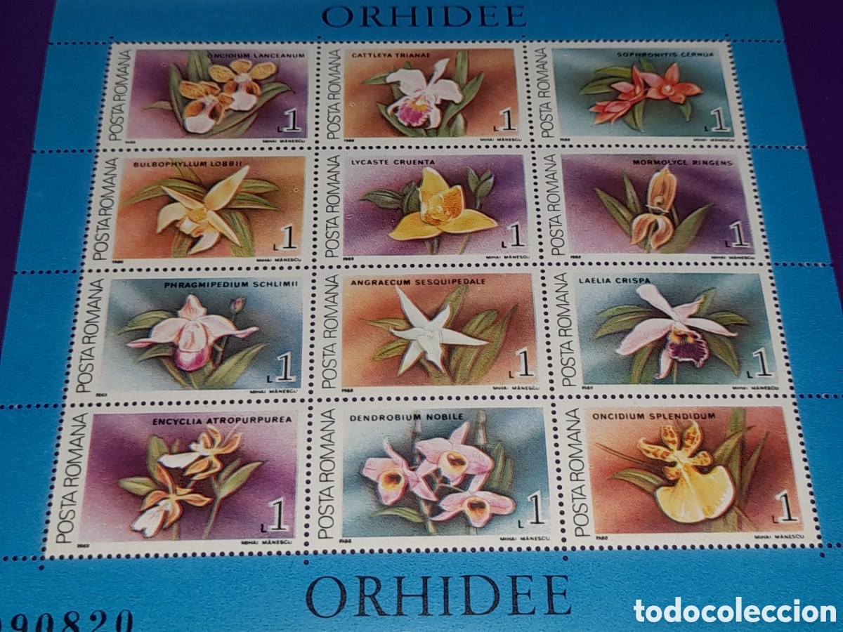 Selos: HB Rumania nuevo 2005. Orqu&iacute;deas. Flores. Flora. Plantas. Naturaleza.