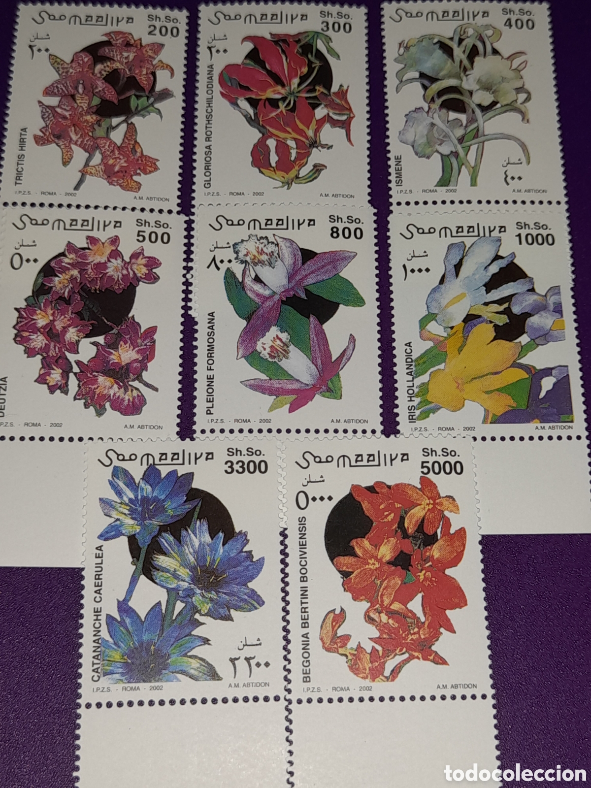 Sellos: Sello Somalia nuevo 2002. Flores. Flora. Naturaleza. Plantas. Iris. Begonia. Catananche.