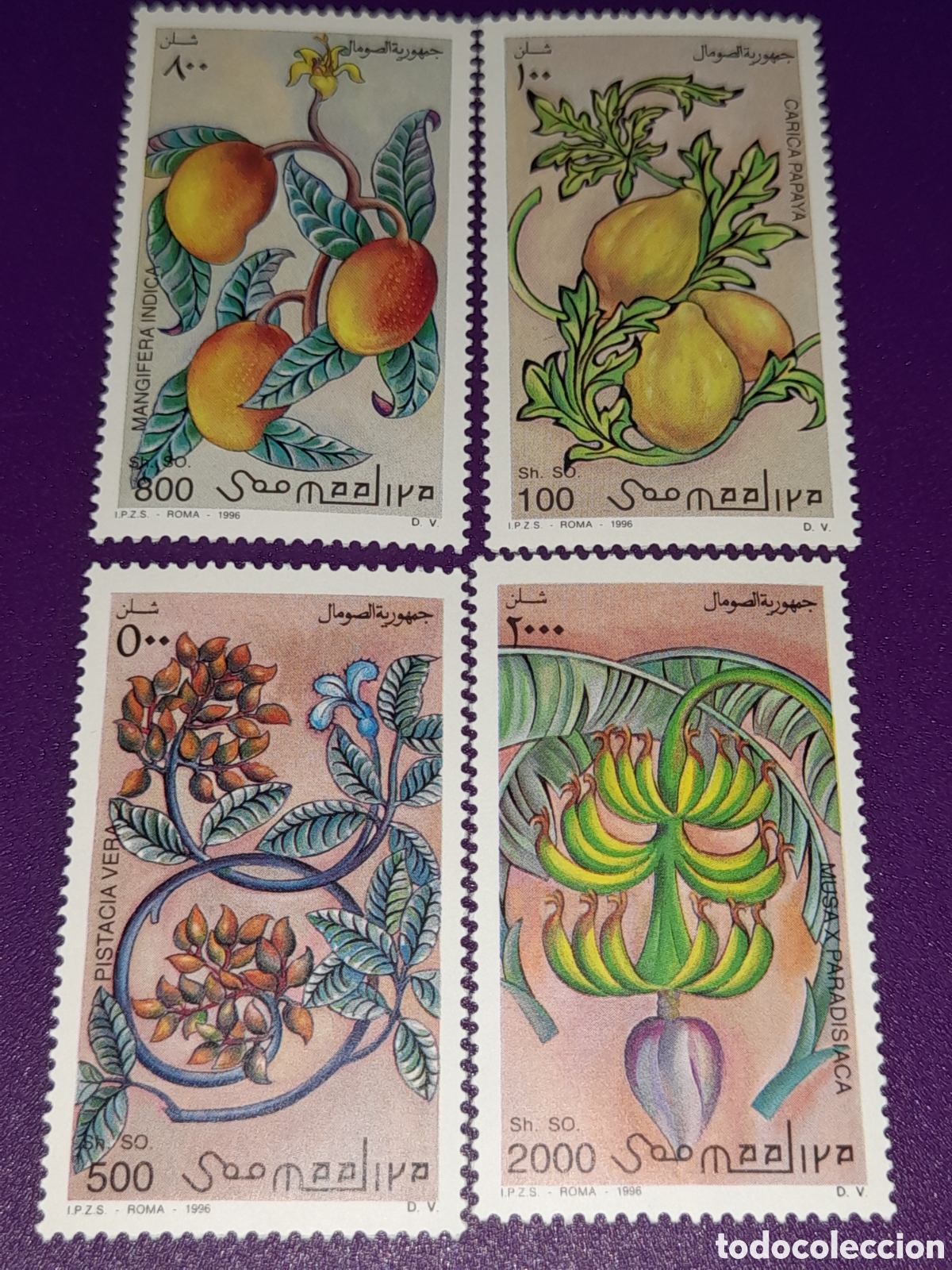 Sellos: Sello Somalia nuevo 1996. Frutas. Naturaleza. Papaya. Pistacia. Mango. Alimentos