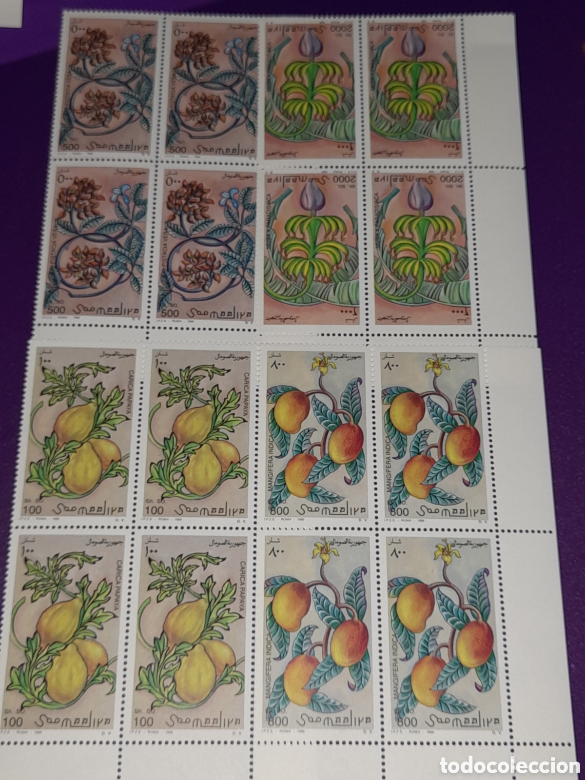 Sellos: Sello Somalia nuevo 1996. Frutas. Naturaleza. Papaya. Pistacia. Mango. Alimentos