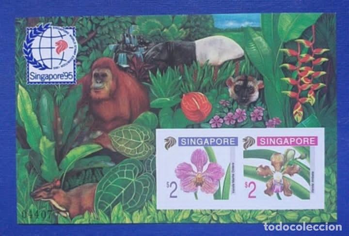 Sellos: Sellos Tema Flores Singapur 1995 HB 33 S/D Proc. Cat&aacute;logo Exposici&oacute;n