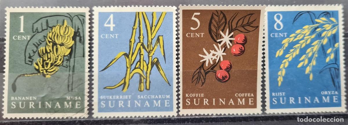 Sellos: Serie de sellos de Surinam 1961: plantas y frutos