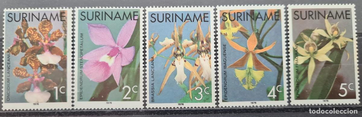 Sellos: Serie completa de sellos de Surinam 1976: orqu&iacute;deas