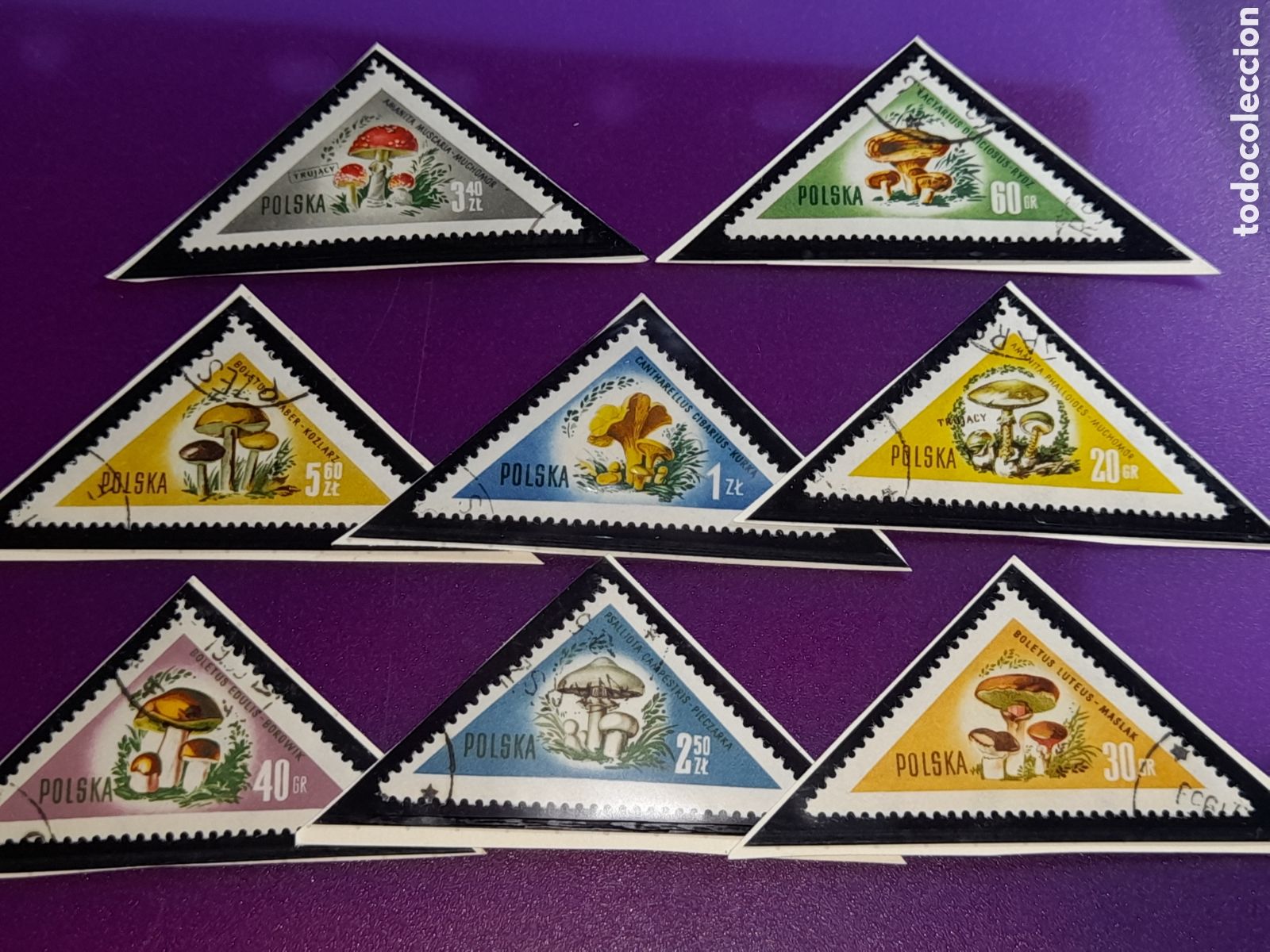 Sellos: Sello Polonia mtdo 1959. Setas. Hongos. Champi&ntilde;ones. Descomponedores. Flora. Naturaleza.