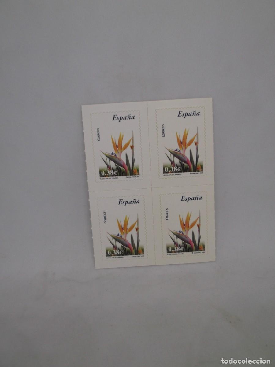 Sellos: Espa&ntilde;a 2006 Flora: Ave del paraiso.Bloque de cuatro nuevos
