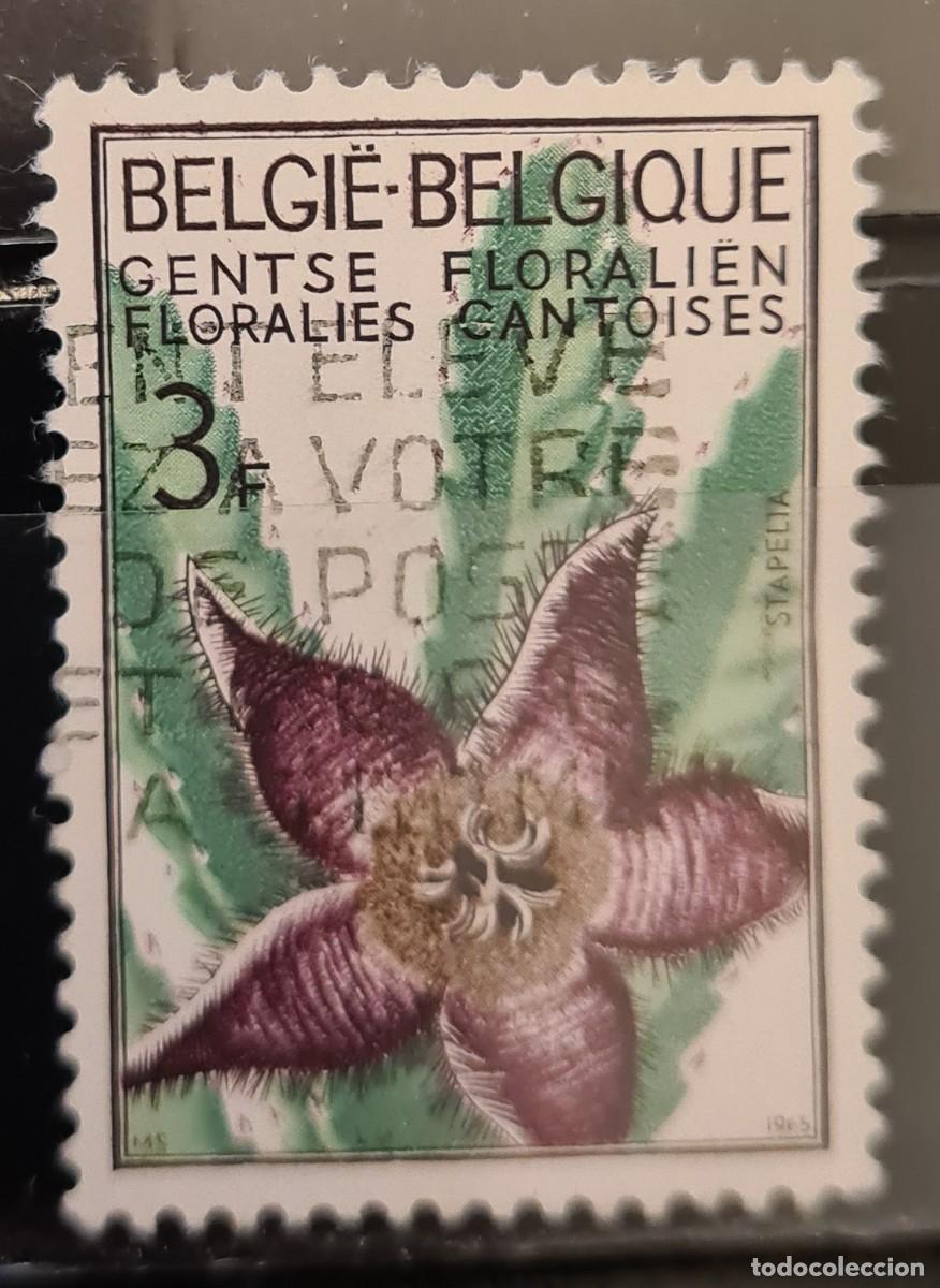 Sellos: Sello usado de B&eacute;lgica 1965: flores de Gante