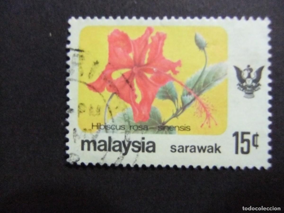 Sellos: 43 SARAWAK 1979 / FLORA FLOR ( HIBISCUS ROSASINENSIS ) / YVERT 234 FU