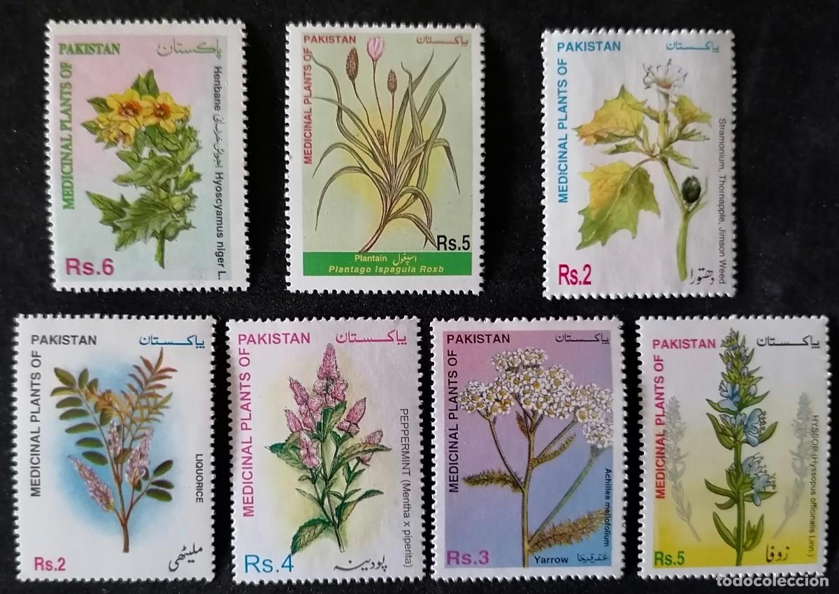 Sellos: PAKIST&Aacute;N - PLANTAS MEDICINALES .