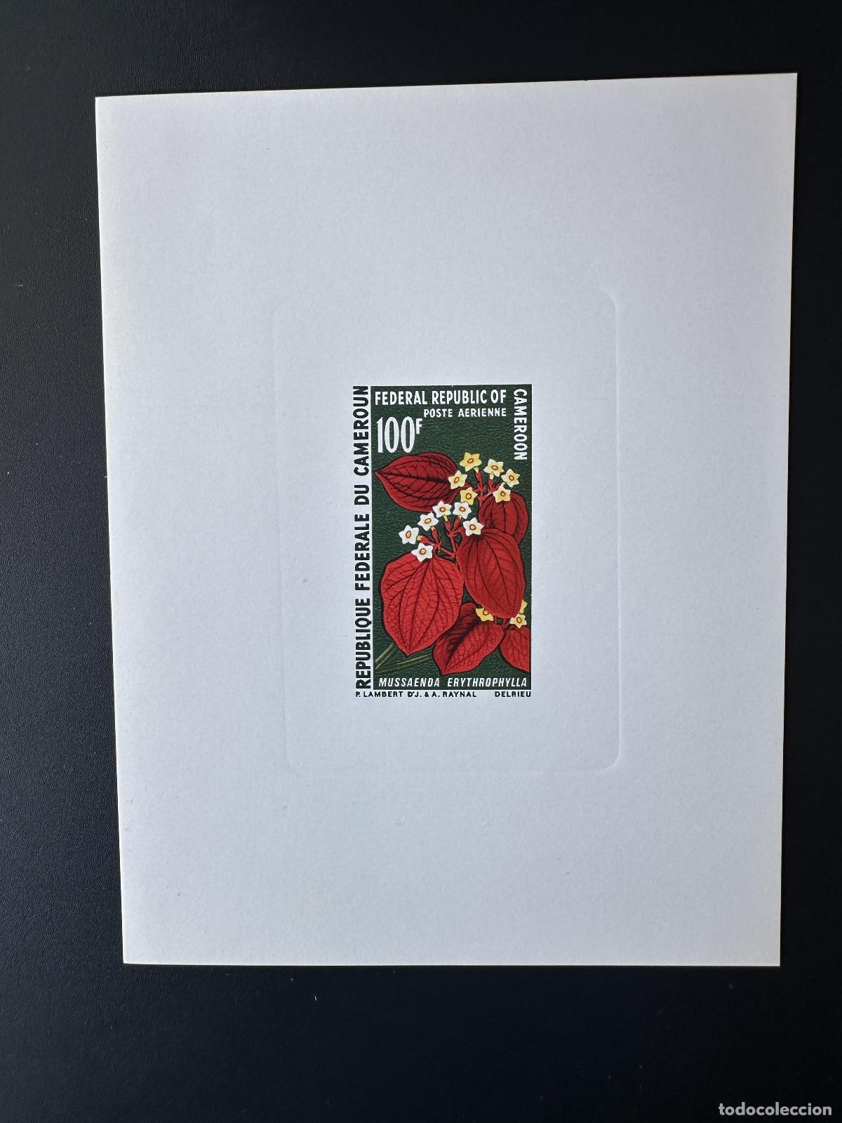 Sellos: Camer&uacute;n 1970 Mi. 609 Flor Blume Mussaenda Erythrophylla a prueba de lujo