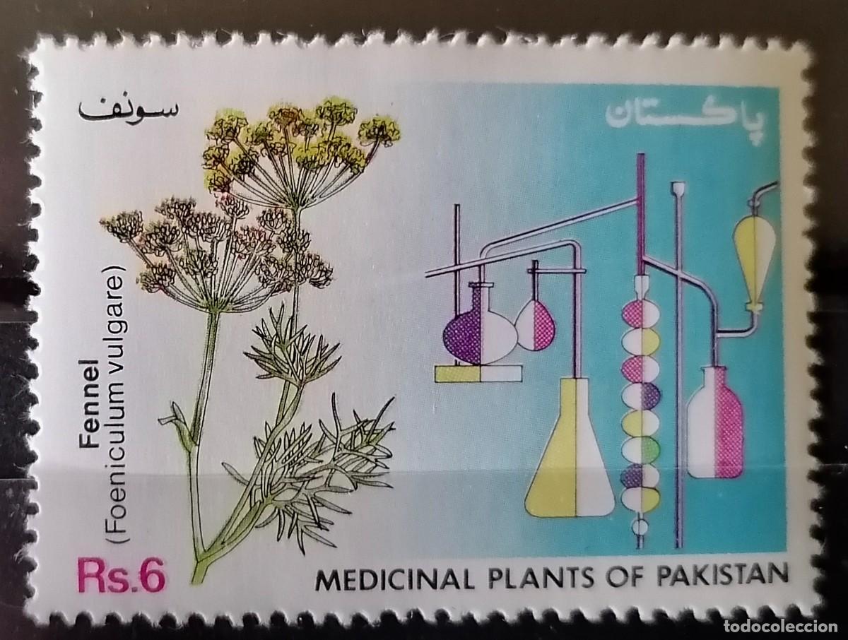 Sellos: PAKIST&Aacute;N 1993 - PLANTAS MEDICINALES .