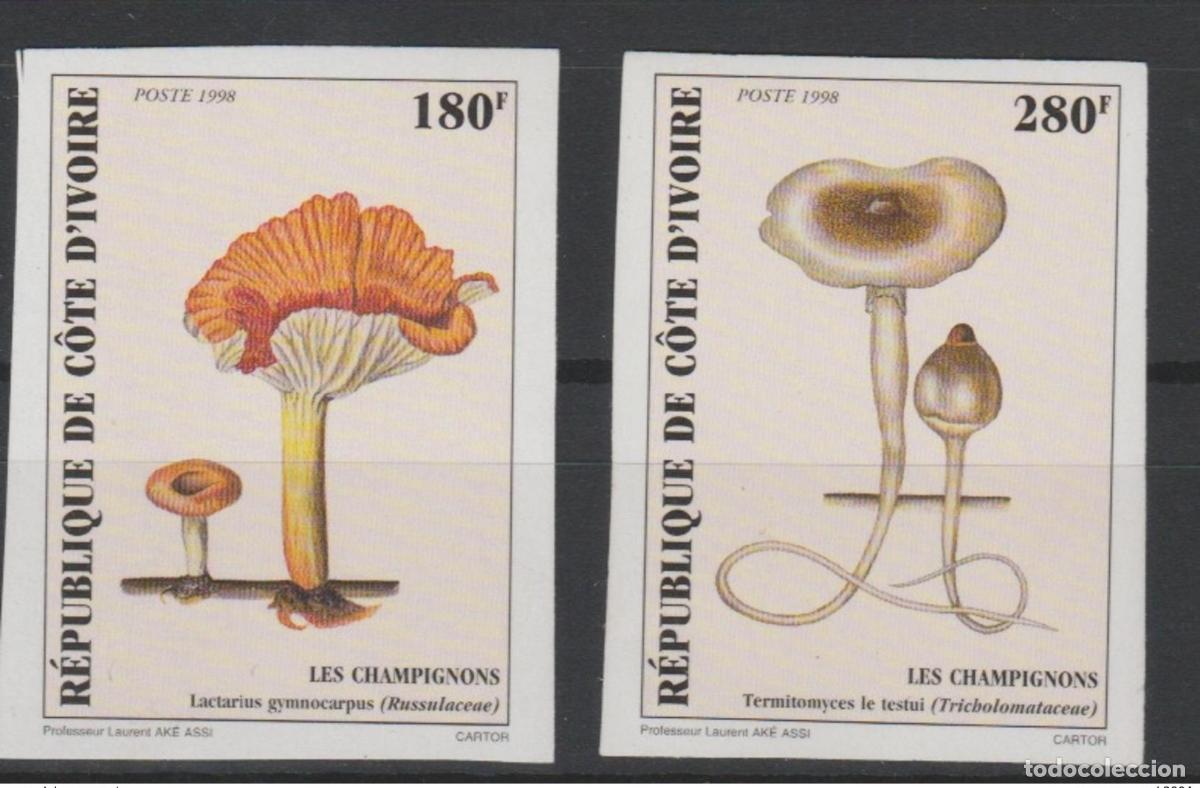 Sellos: Costa de Marfil 1998 IMPERF NON DENTELLES Hongos Pilze MNH**