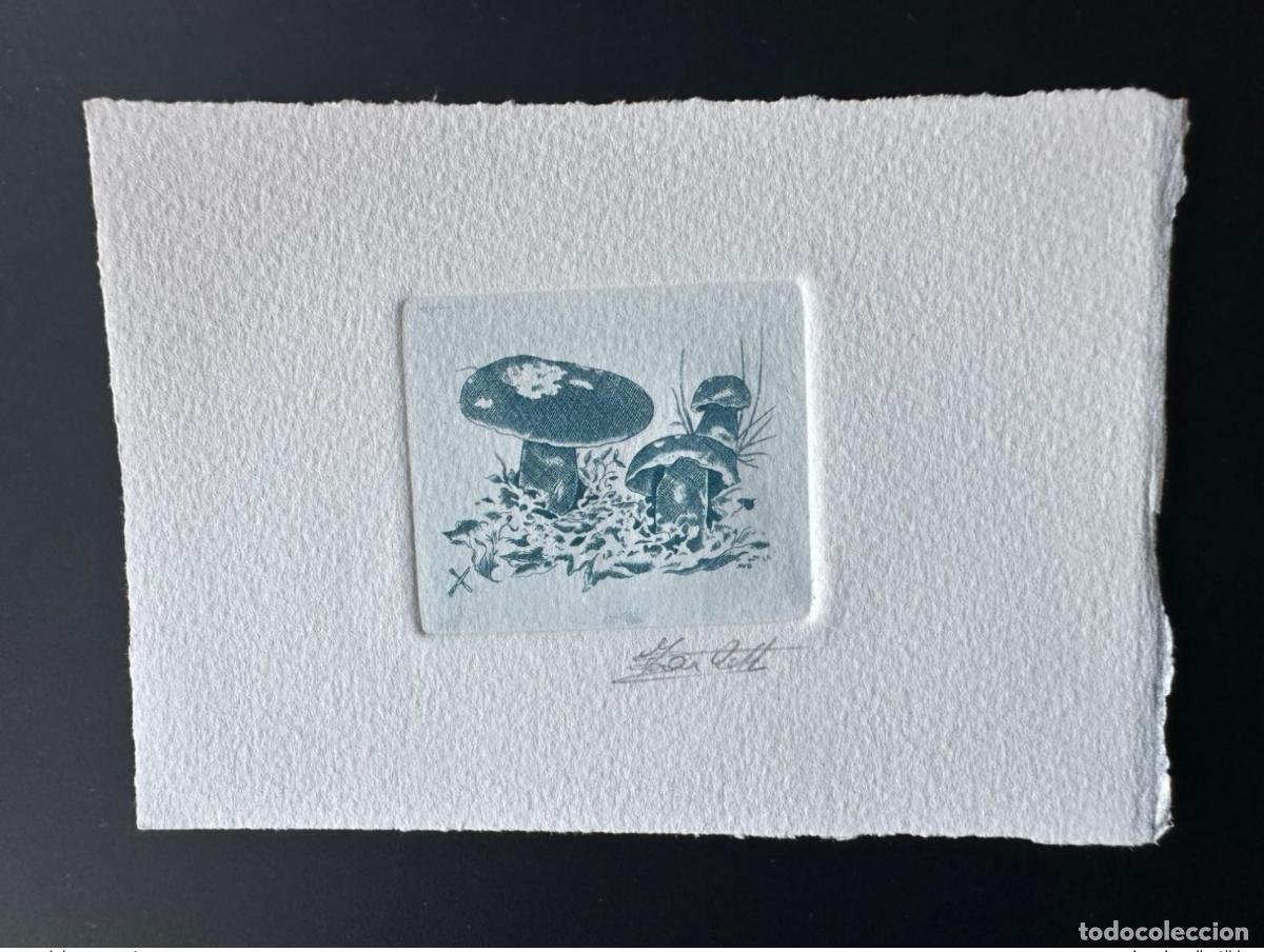 Sellos: B&eacute;lgica 1991 COB 2420 FDC Funghi Mushroom Blue Boletus a prueba de artista