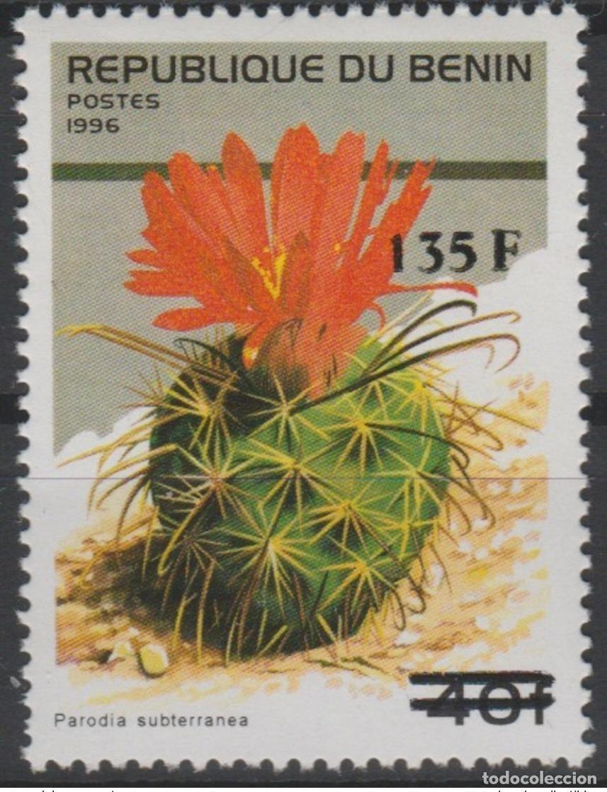 Sellos: Benin 2000 Mi. 1245 Flora Parodia Subterranea Cactus planta sobrecargada MNH**