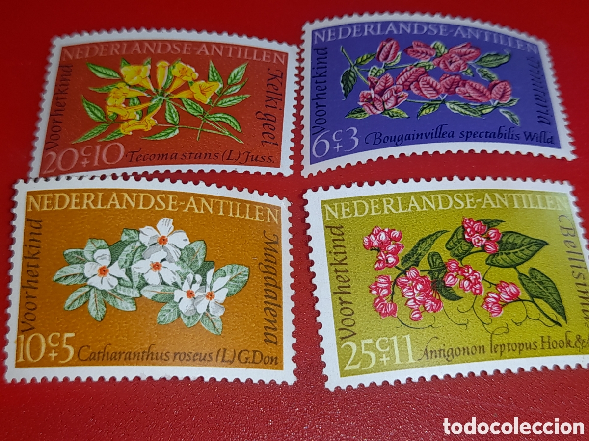 Sellos: Sello Antillas Holandesas nuevo 1964. Pro infancia. Flores. Flora. Naturaleza. Plantas.