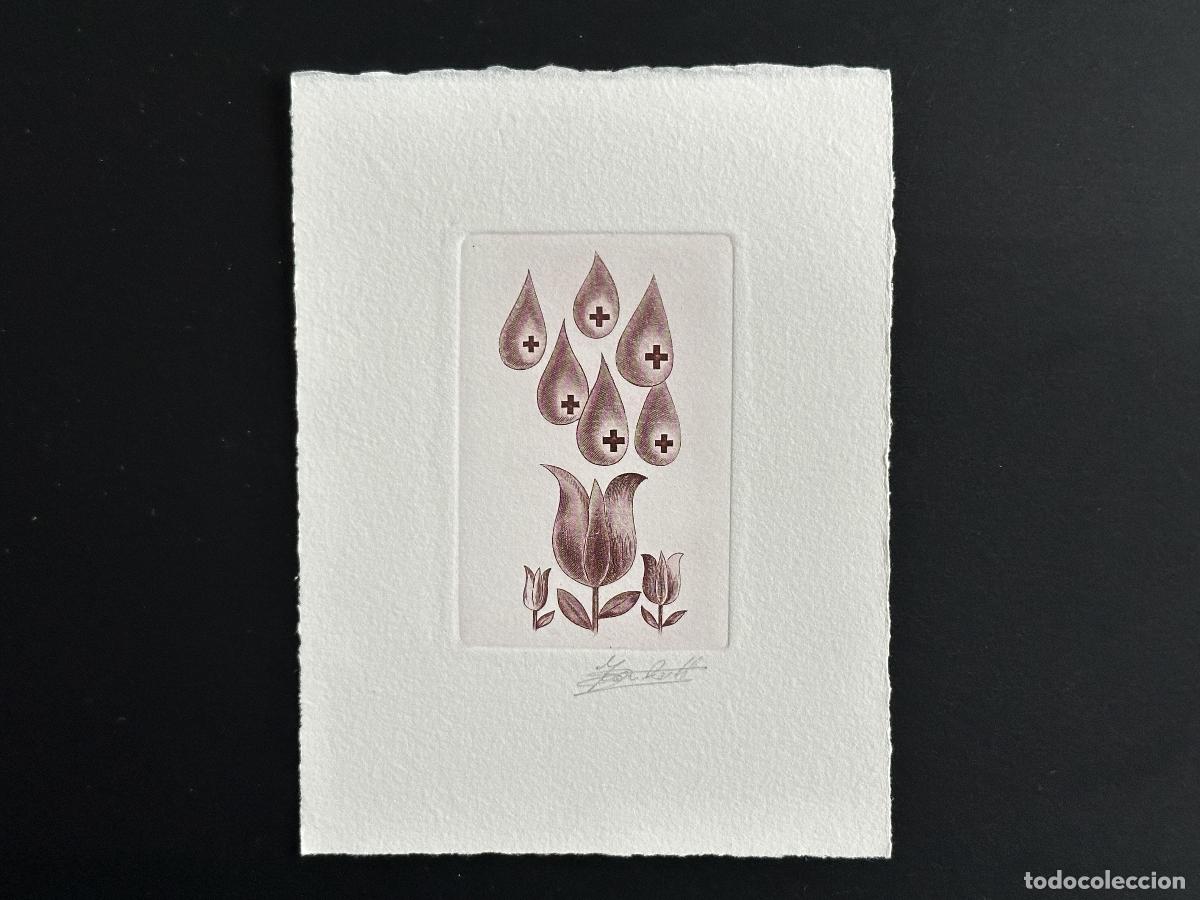 Sellos: B&eacute;lgica 1974 COB 1705 Prueba de artista FDC Cruz Roja Flower Blood