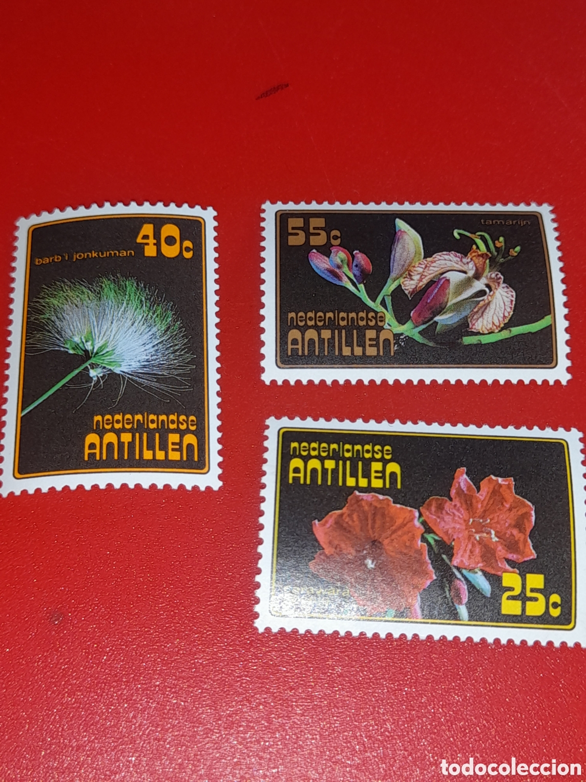Sellos: Sello Antillas Holandesas nuevo 1977. Flores. Plantas. Tamarimdo. Cordia. Albicia. Naturaleza.