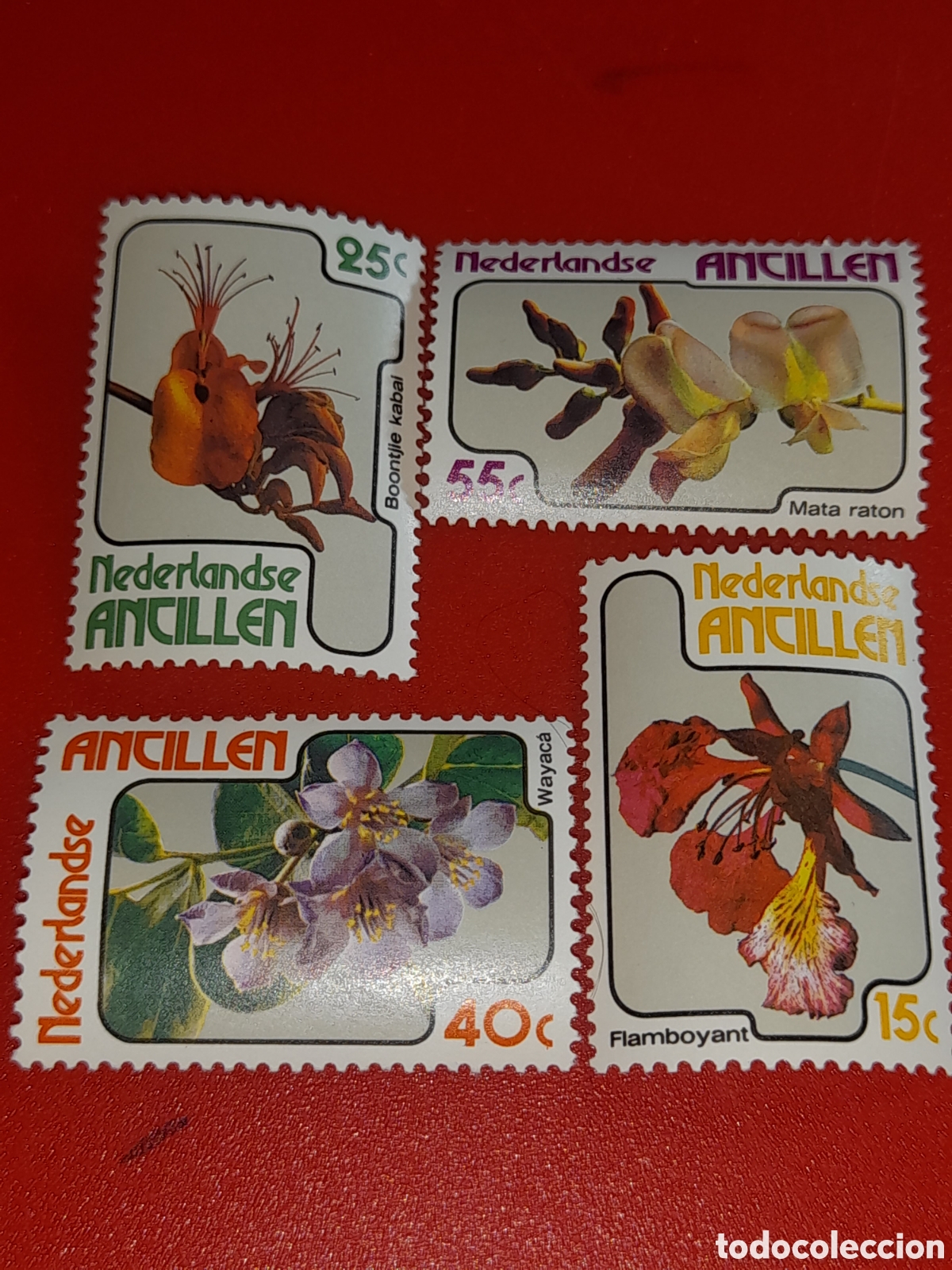 Sellos: Sello Antillas Holandesas nuevo 1978. Orqu&iacute;deas. Flores. Flora. Naturaleza. Plantas. Wayaca.