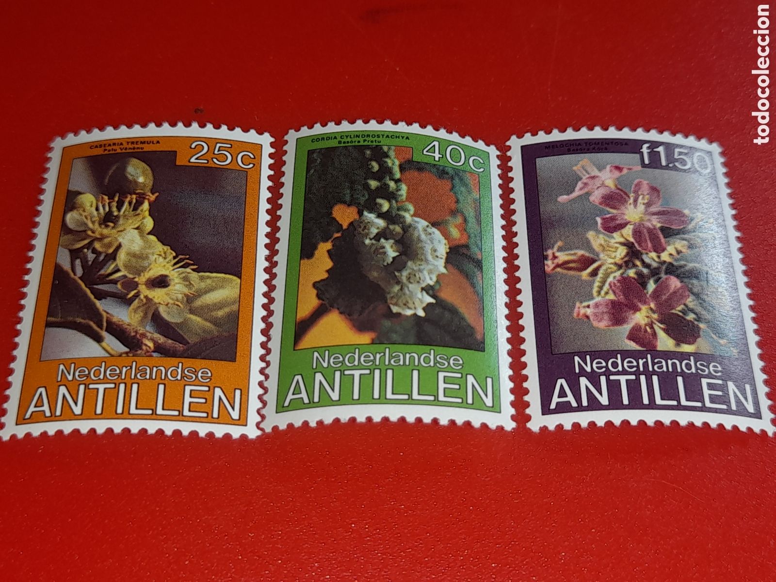 Sellos: Sello Antillas Holandesas nuevo 1979. Flores. Flora. Plantas. Naturaleza. Cordia. Malochia.