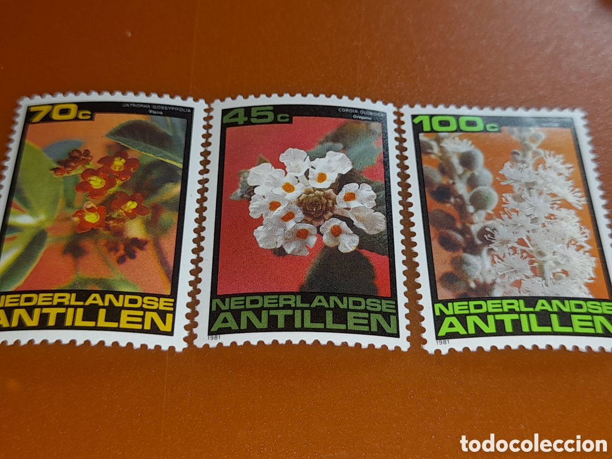 Sellos: Sello Antillas Holandesas nuevo 1981. Flores. Flora. Plantas. Naturaleza.