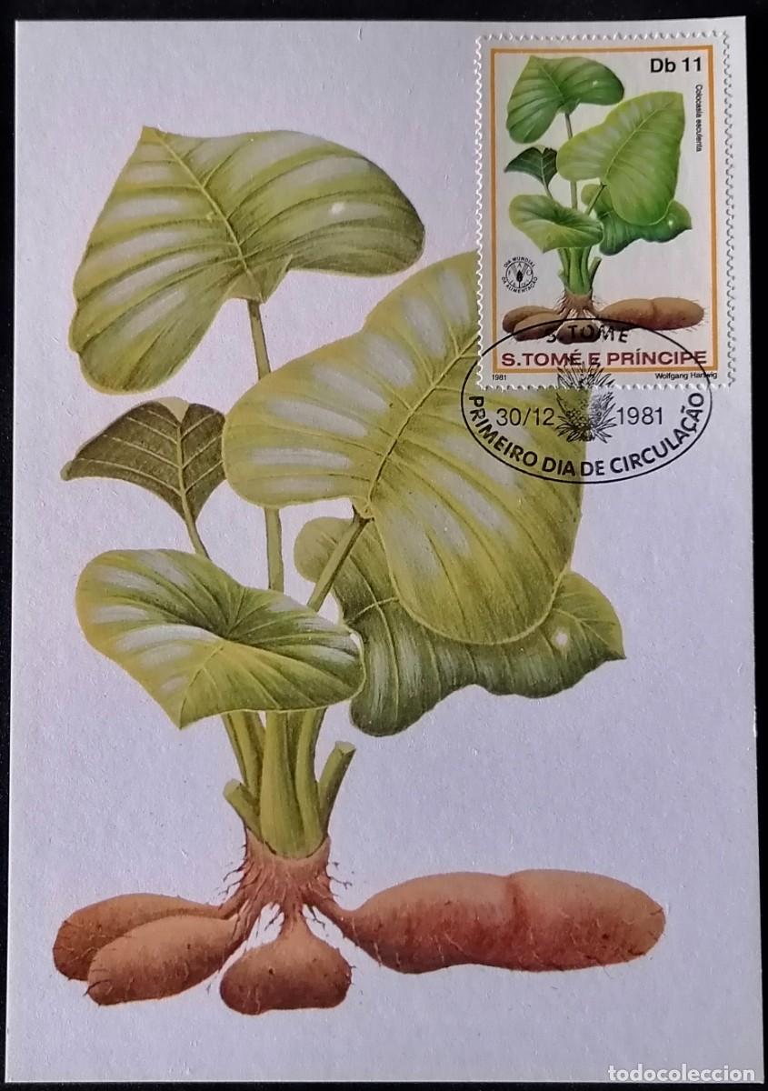 Briefmarken: SANTO TOM&Eacute; 1981 - TARJETA M&Aacute;X / D&Iacute;A DE LA ALIMENTACI&Oacute;N .