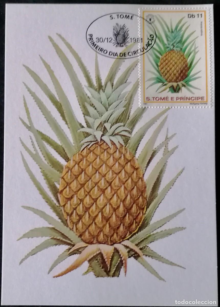Selos: SANTO TOM&Eacute; 1981 - TARJETA M&Aacute;X / D&Iacute;A DE LA ALIMENTACI&Oacute;N .