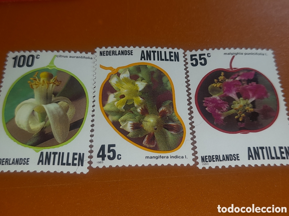 Sellos: Sello Antillas Holandesas nuevo 1983. Flores. Plantas. Flora. Naturaleza. Mangifera. Citrus.