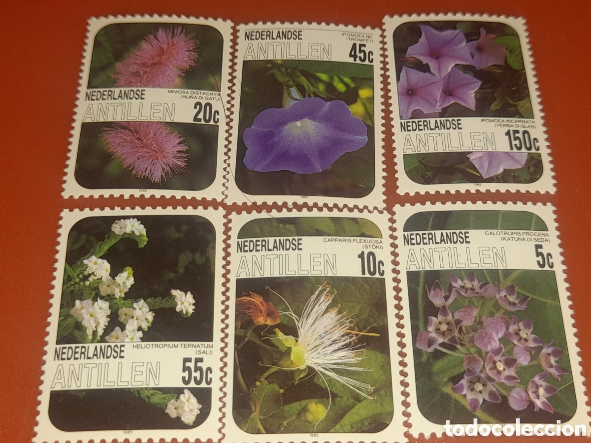Sellos: Sello Antillas Holandesas mtdo 1985. Flores. Flora. Naturaleza. Plantas.