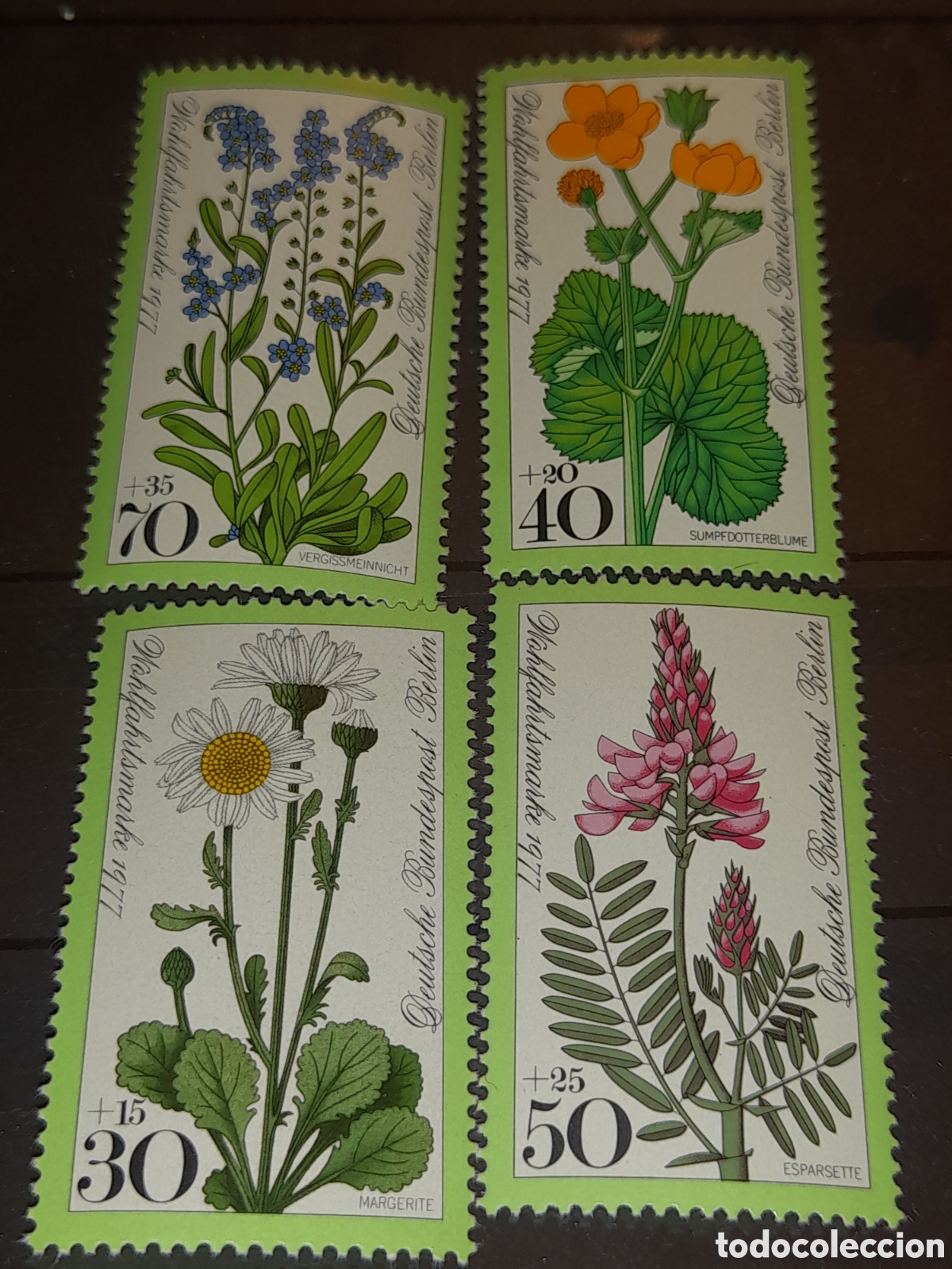 Sellos: Sello Alemania, Berlin nuevo 1977. Beneficiencia. Flores. Flora. Naturaleza. Plantas. Margarita Cale