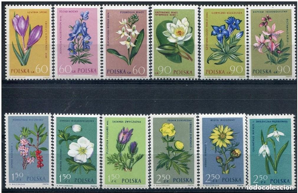 Sellos: Polonia 1962 Ivert 1185/96 *** Protecci&oacute;n de las Plantas - Flora - Flores Diversas