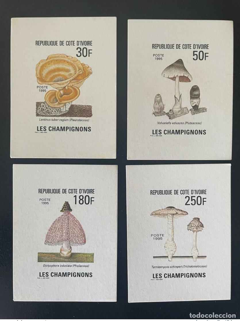Sellos: Costa de Marfil 1995 Mi. 1142 - 1145 Champi&ntilde;ones a prueba lujo