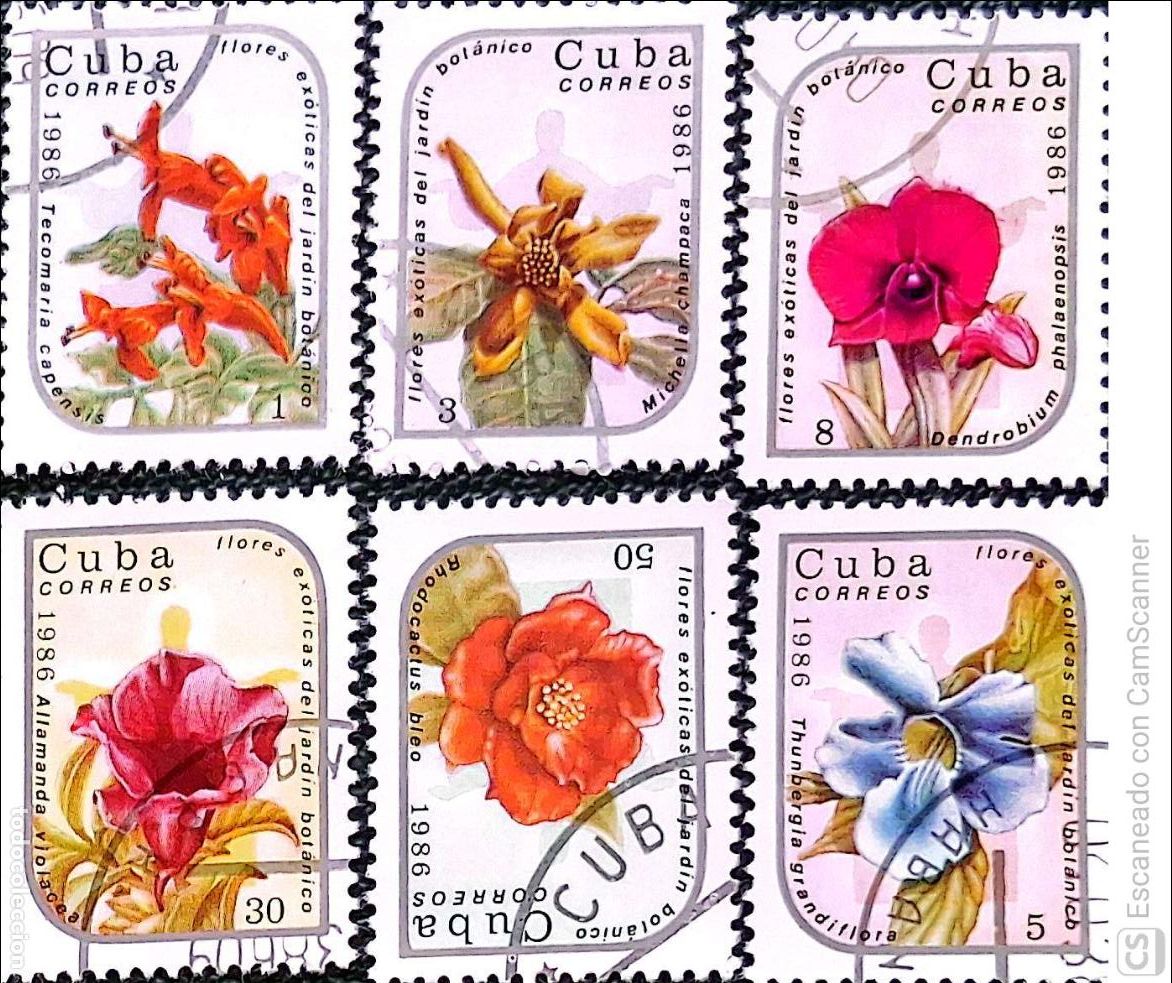 Sellos: Cuba. 2668/73 Flores ex&oacute;ticas de jard&iacute;n: Tecomaria, michelia, thunbergia, denbrobium, allamanda y rh