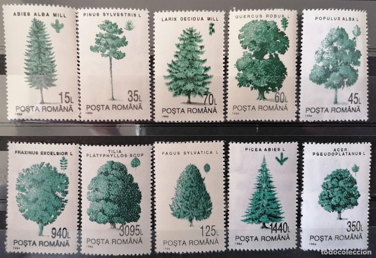 Sellos: RUMANIA 1994 - &Aacute;RBOLES . - Foto 1