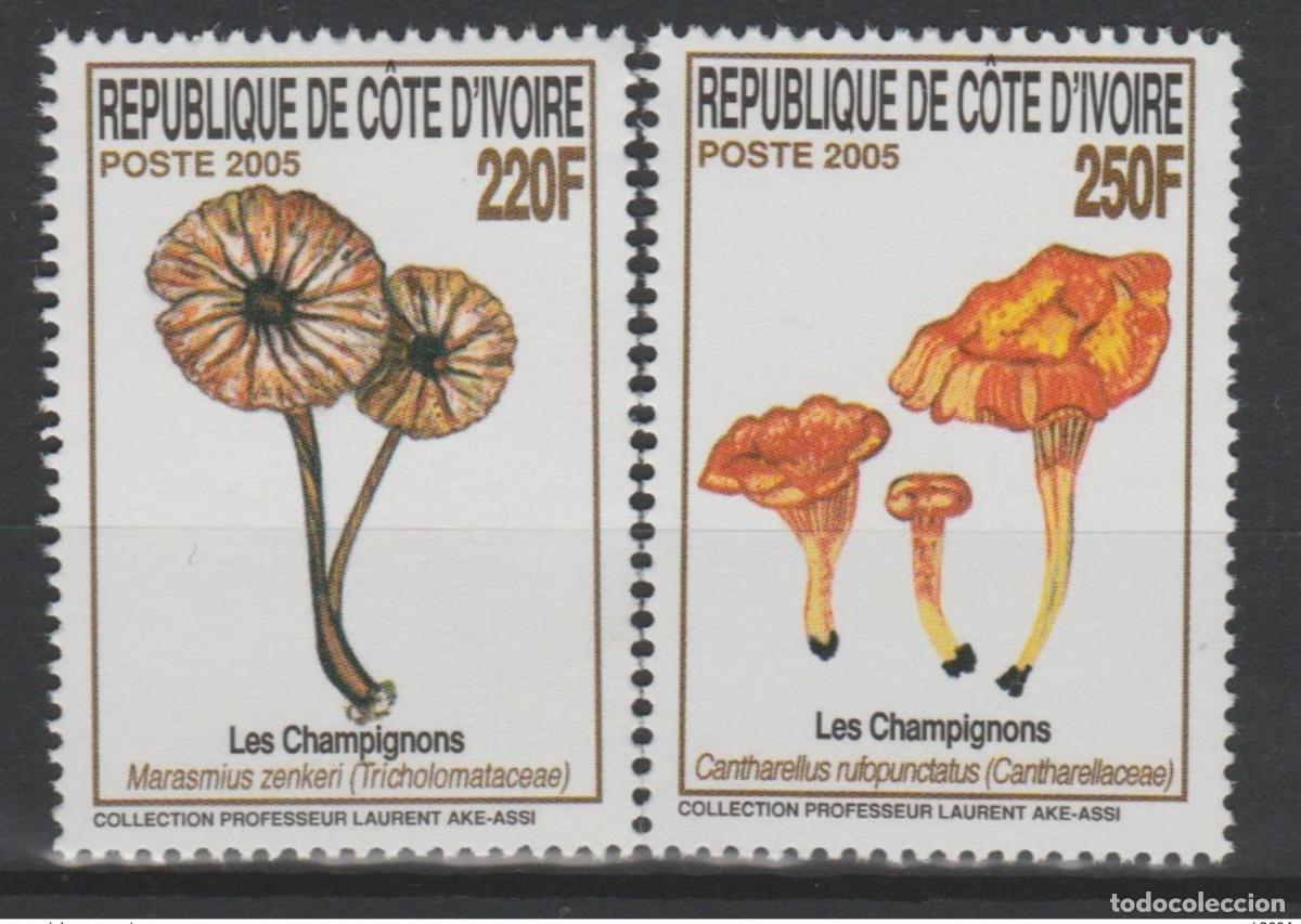 Sellos: Costa de Marfil 2005 Mi. 1475 - 1476 Champi&ntilde;ones Pilze MNH