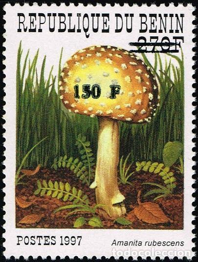 Sellos: Ben&iacute;n 2000 Mi. 1298 sobrecargado Amanita rubescens hongo micolog&iacute;a
