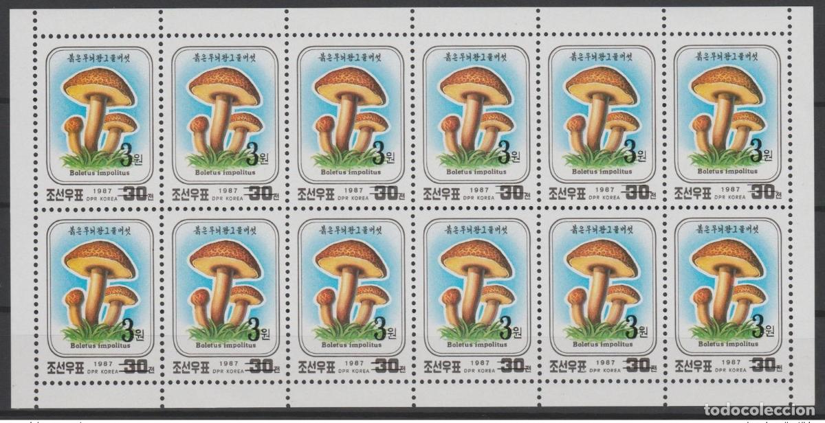 Sellos: Minihoja Korea 2006 Mi. 5047 SOBREIMPRESI&Oacute;N Flora Mushroom Pilz MNH RARE