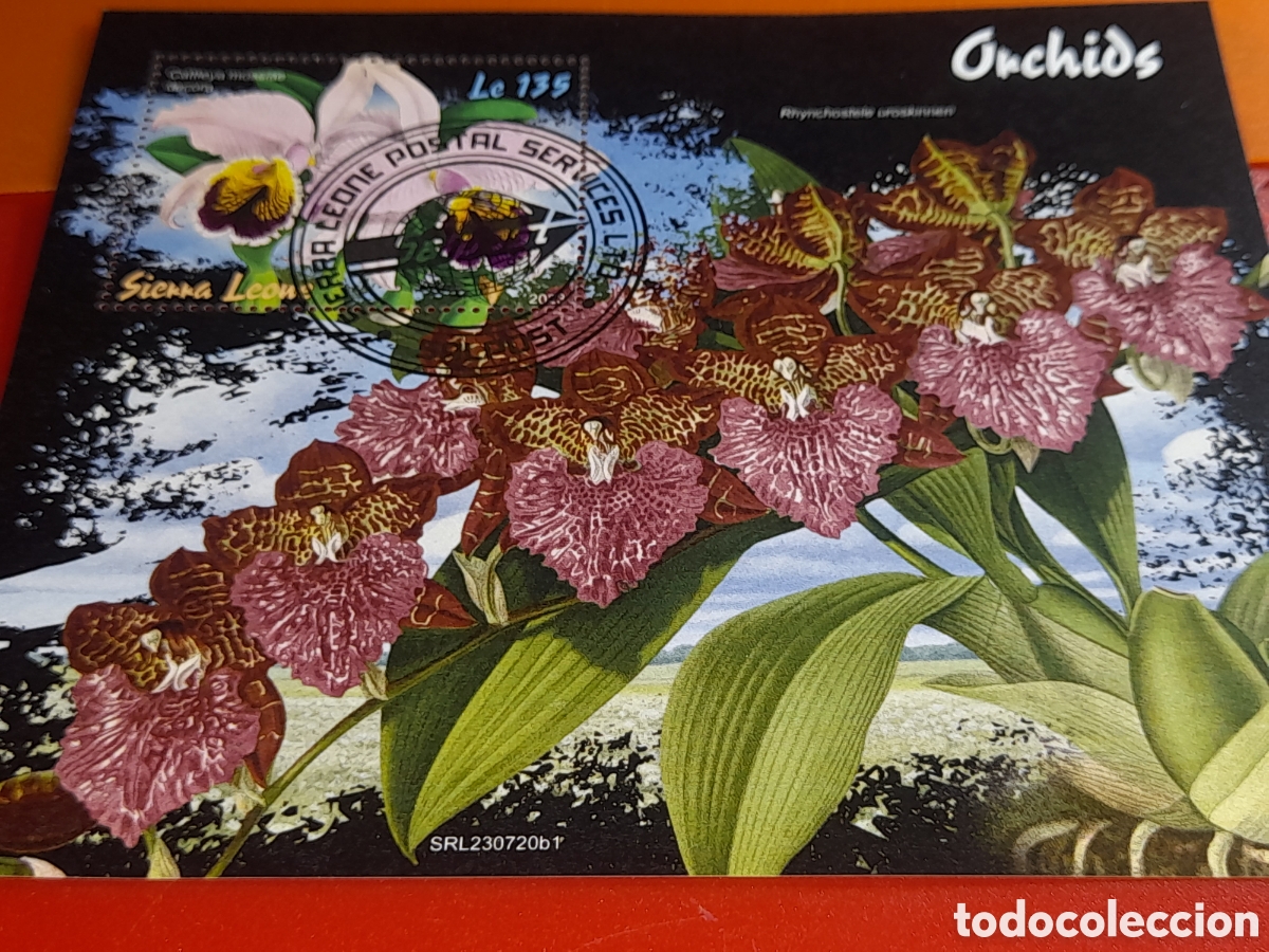 Sellos: HB Sierra Leona mtdo 2023. Orqu&iacute;deas. Flores. Flora. Plantas. Naturaleza.